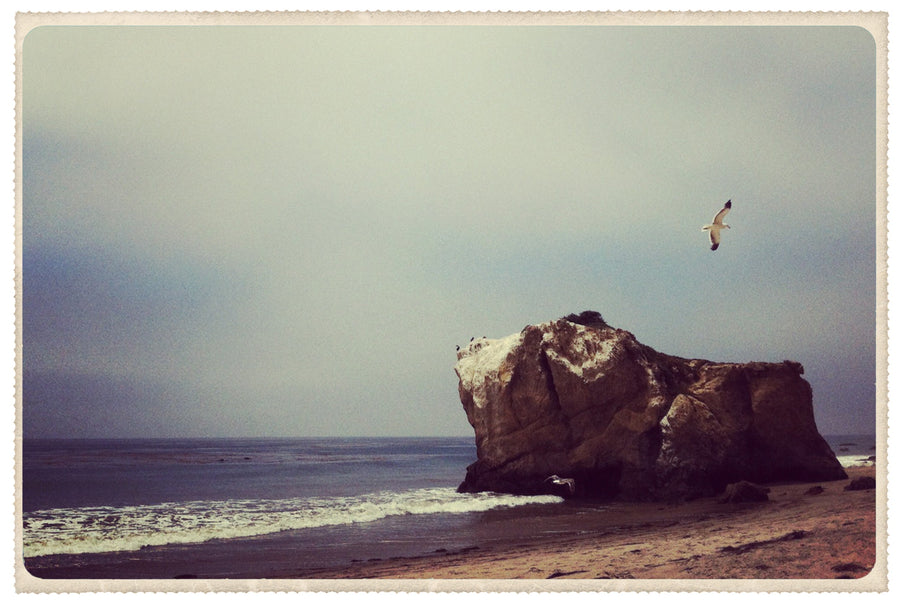 Our Favorite Malibu Beaches