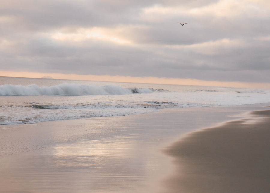 A Note of Gratitude & What Comes Next